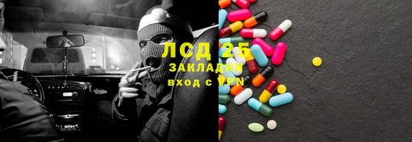 ECSTASY Липки