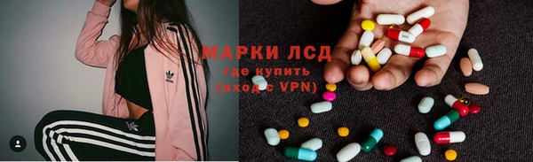 ECSTASY Липки
