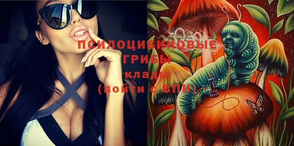 ECSTASY Липки