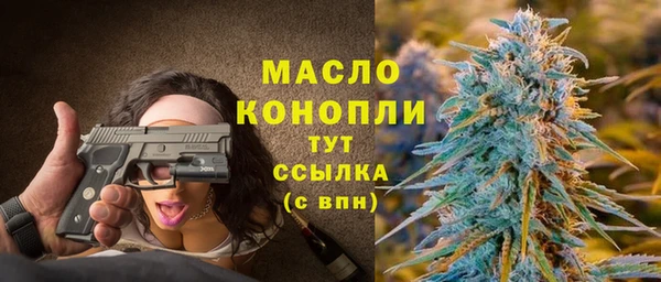 индика Лихославль