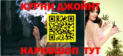 индика Моздок