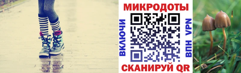 kraken ССЫЛКА Псков Псилоцибиновые грибы мицелий