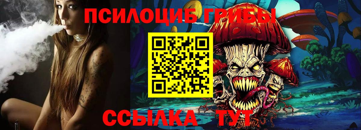 Галлюциногенные грибы GOLDEN TEACHER  Псилоцибиновые грибы Cubensis  Псков  Вход с VPN 