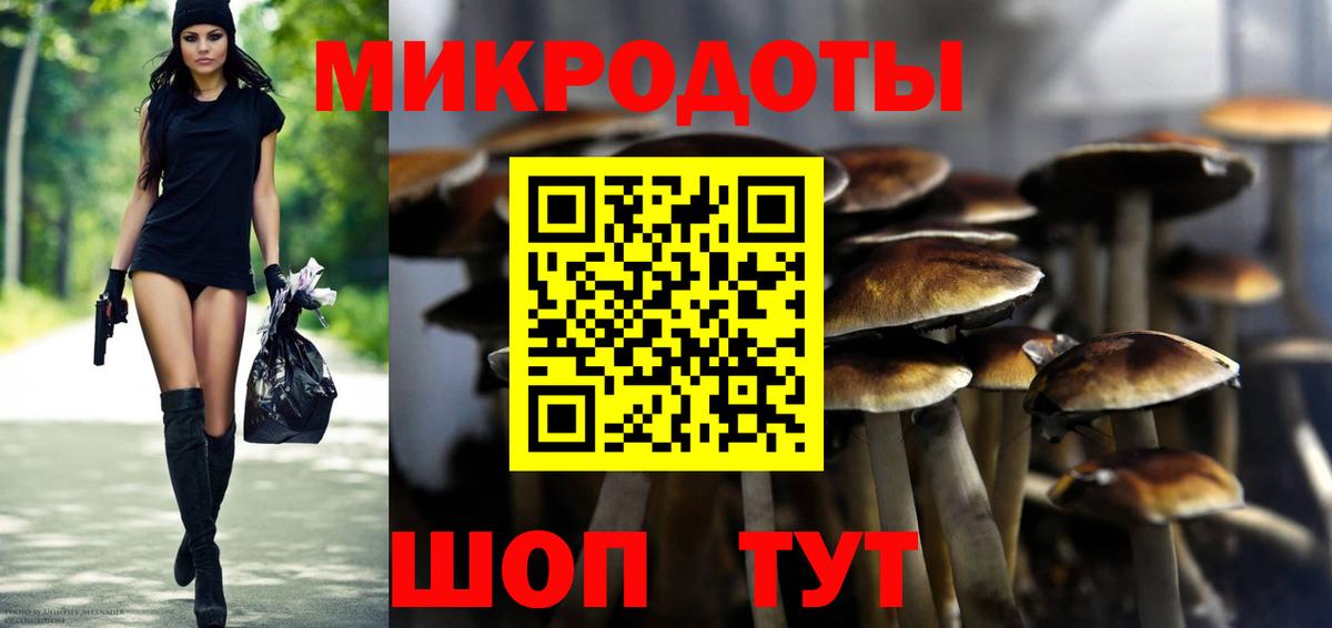 Галлюциногенные грибы MAGIC MUSHROOMS Псков